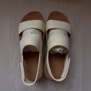 ✨ Reef - Water Vista Higher ✨